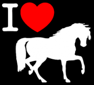 dla kochających konie