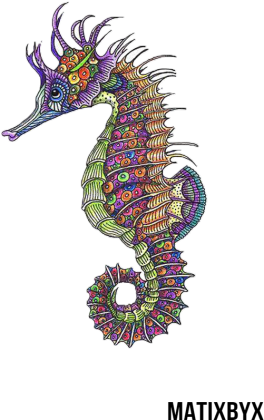 Koszulka Damska | SeaCollection - Wersja 1