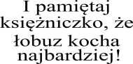 Koszulka męska