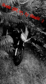Honda CBR by Claudii