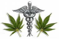 medyczna marihuana
