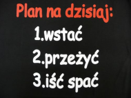 Bluza : Plan Dnia