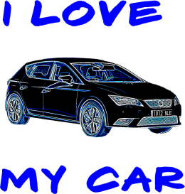 I love my car