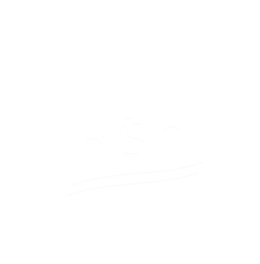$ -2- damska