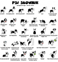 Psi słownik