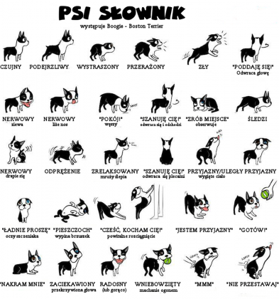 Psi słownik