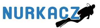 Nurkacz podwojny 2