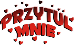 Misiek przytulasek