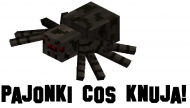 Minecraft Koszulka Biała Męska - Pajonki coś knują!