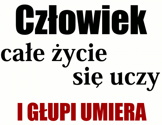 Człowiek się uczy :: Koszulka męska czerwono-biała