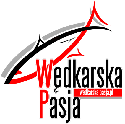 Bluza z kapturem - biała
