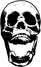 Skull Front
