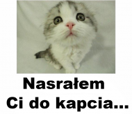 Nasrałem Ci do kapcia...