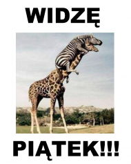 Widzę piątek!
