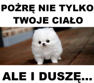 Pożrę nie tylko Twoje Ciało...
