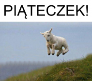 Piąteczek!