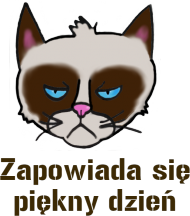 Koszulka dziecięca "Grumpy Cat"