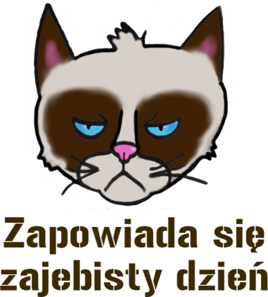 Koszulka "Grumpy Cat"