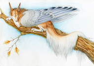 koszulka biala autumnair