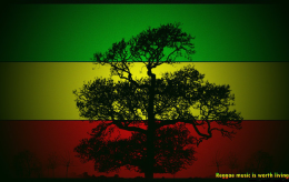 reggea6