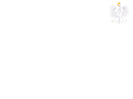 VAMOS POLSKA!