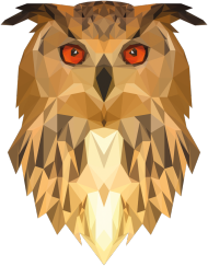 QTshop - SOWA owl torba wszystkie kolory