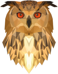 QTshop - SOWA owl bluza damska wszystkie kolory