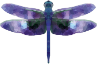 QTshop - WAŻKA dragonfly bluza męska wszystkie kolory
