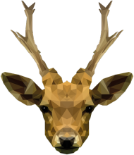 QTshop - JELEŃ deer męska dwukolorowa wszystkie kolory