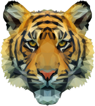 QTshop - TYGRYS tiger męska wszystkie kolory