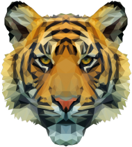 QTshop - TYGRYS tiger damska wszystkie kolory