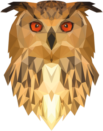 QTshop - SOWA owl torba wszystkie kolory