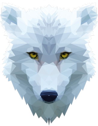 QTshop - WILK wolf dziecięca wszystkie kolory