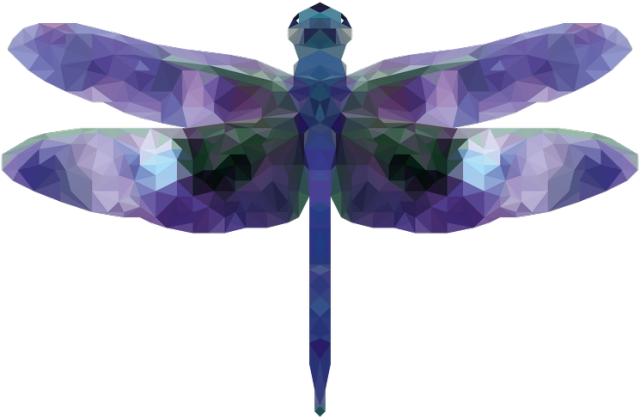QTshop - WAŻKA dragonfly damska v-neck wszystkie kolory