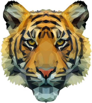 QTshop - TYGRYS tiger męska wszystkie kolory