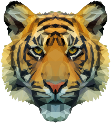 QTshop - TYGRYS tiger damska wszystkie kolory