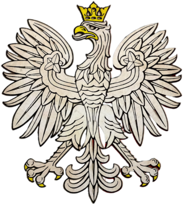 Bluza biało czerwona z Polskim Orłem