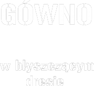 GÓWNO bluza męska