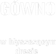 GÓWNO bluza damska