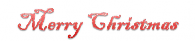 Renifer merry christmas