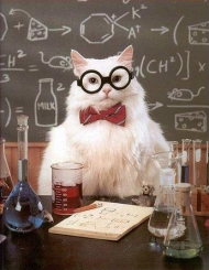 Chem Cat 2b