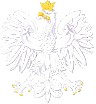 Koszulka z herbem