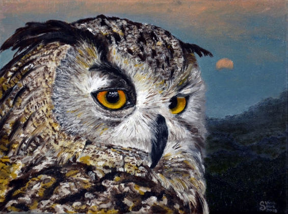 Bluza Puchacz/Blouse Eagle-Owl