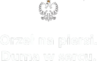 Orzeł na piersi - Koszulka męska