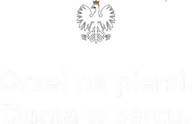 Orzeł na piersi - Koszulka męska