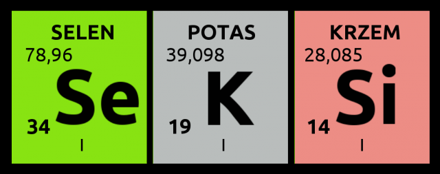 T-shirt damski SeKSi