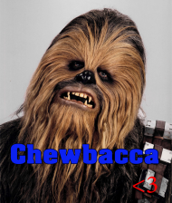 chewbacca