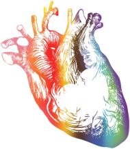 Kolory Miłości BLUZA K