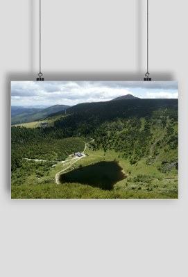 Śnieżka - mironik
