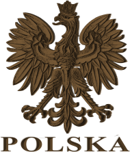 Koszulka ORZEŁ godlo Polska